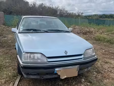 Renault R25