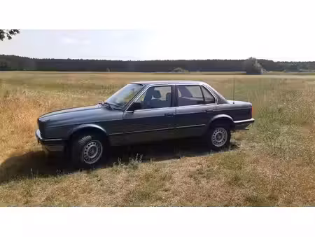 BMW Série 3 318i