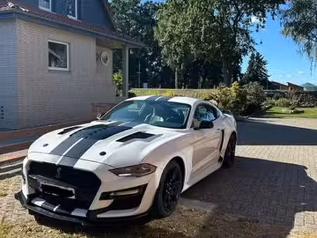 Ford Mustang Shelby GT500 2.3 EcoBoost 317