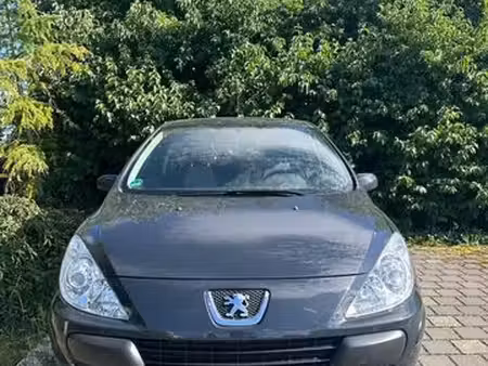 Peugeot 307 1.4 90