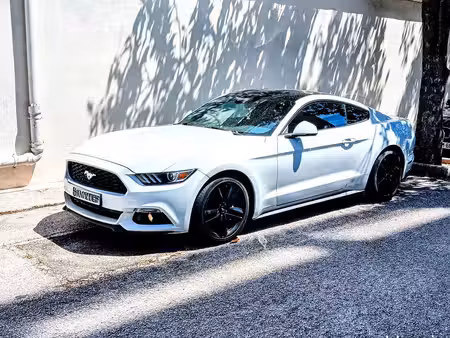 Ford Mustang Fastback 2.3 EcoBoost 317