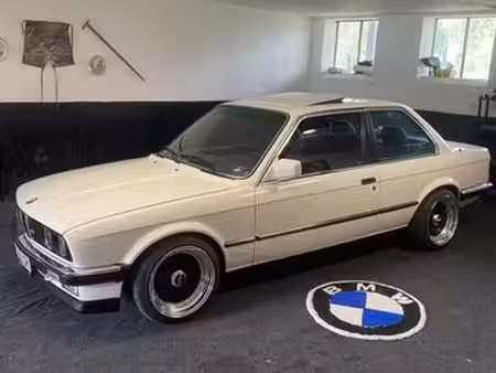 BMW Série 3 318i