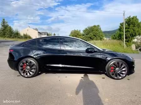 Tesla Model 3 Performance 482 PUP 4x4