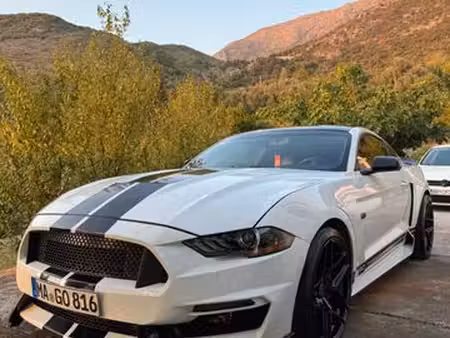 Ford Mustang Fastback V8 5.0