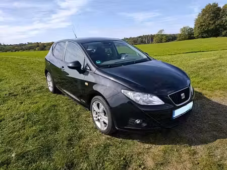 Seat Ibiza Copa