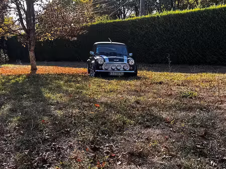 Mini Mini 