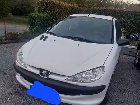 Peugeot 206 1.9 70