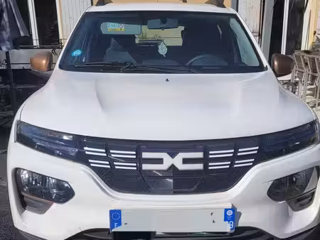 Dacia Spring 100