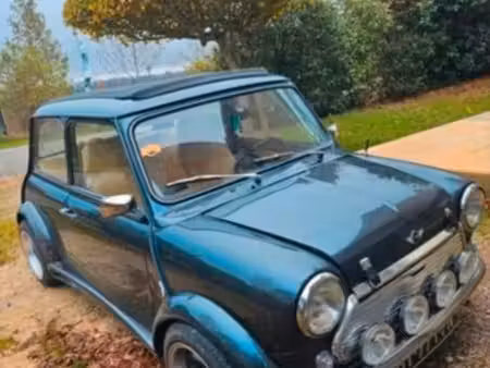 Mini Mini