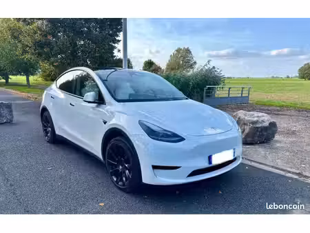 Tesla Model Y Standard 300