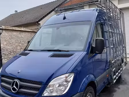 Mercedes-Benz Sprinter 2.1 163