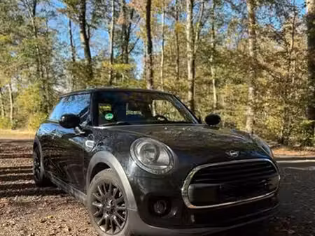 Mini Mini One 1.5 102 Blackyard