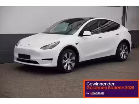 Tesla Model Y Standard 300