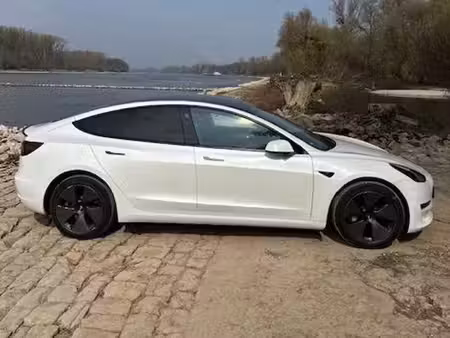 Tesla Model 3 Standard Plus 306