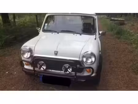 Mini Mini Classic