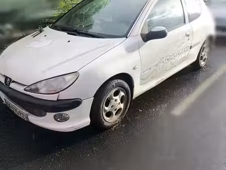 Peugeot 206 1.1 60