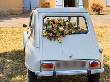Citroën Dyane