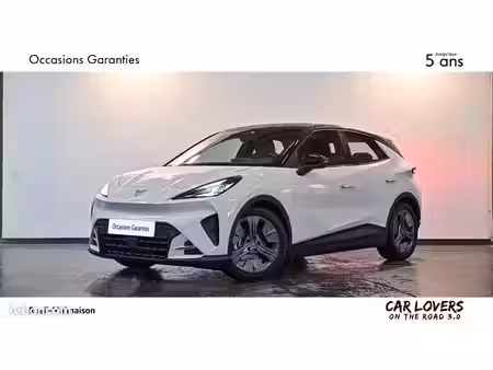 Cupra Raval 