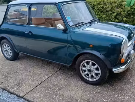 Rover Mini 1.3 53