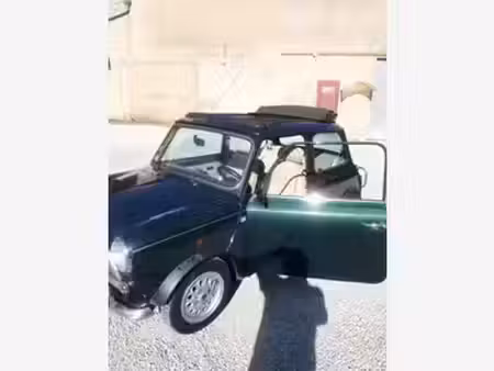 Rover Mini 1.3
