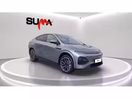 XPeng G6 295
