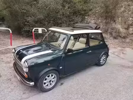 Rover Mini 1.3