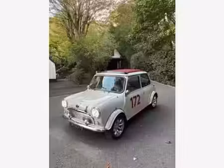 Rover Mini 1.3