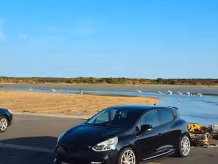 Renault Clio RS Trophy 1.6 T 220