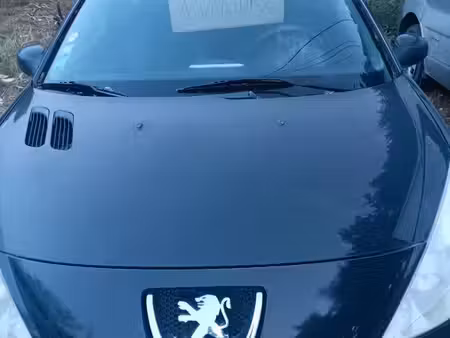 Peugeot 206+ 1.1 60
