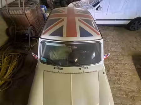 Mini Mini 