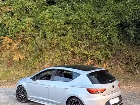 Seat Leon Cupra 290 2.0 TSI 290