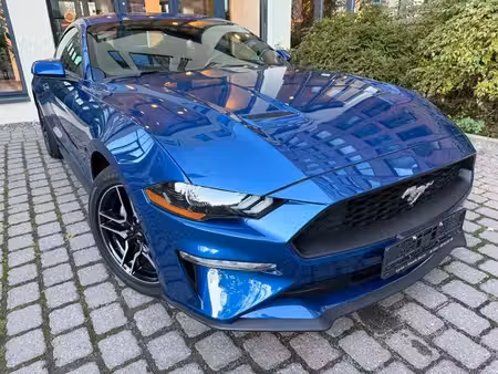 Ford Mustang Fastback 2.3 290 Basis