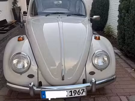Volkswagen Beetle 