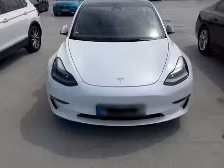 Tesla Model 3 Standard Plus 306