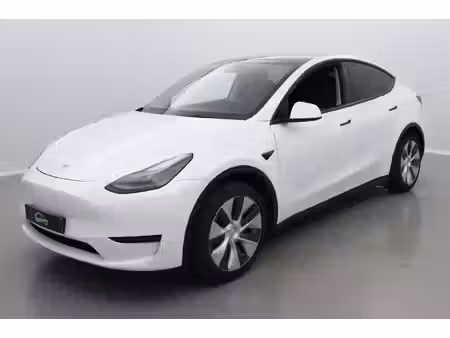 Tesla Model Y Standard 300