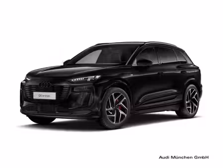 Audi e-tron Business Line