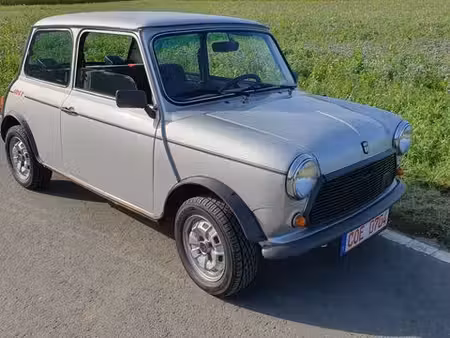 Mini Mini 1.0