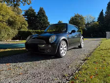 Mini Mini One