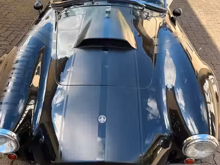AC Cobra Replica Pilgrim