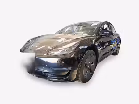 Tesla Model 3 Standard Plus 325