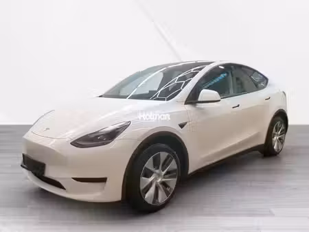 Tesla Model Y Standard 300