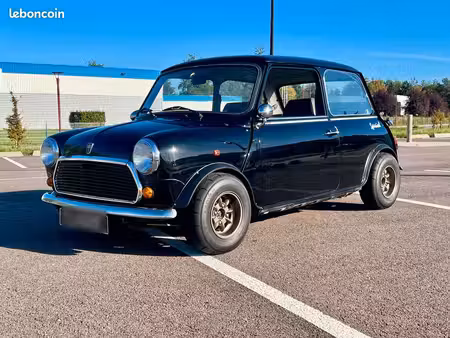 Mini Mini 