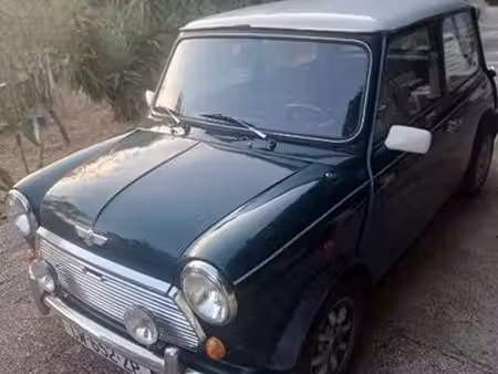 Rover Mini 1.3
