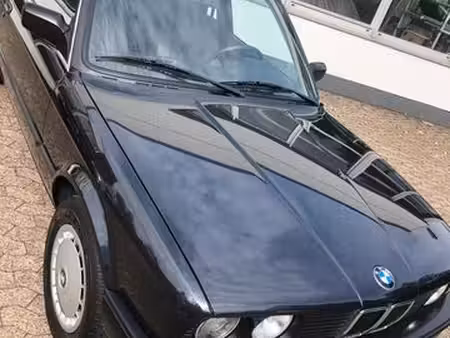 BMW Série 3 318i 1.8