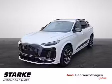 Audi e-tron Business Line