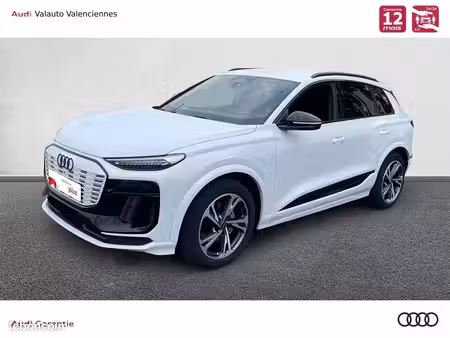 Audi Q6 E-Tron 306
