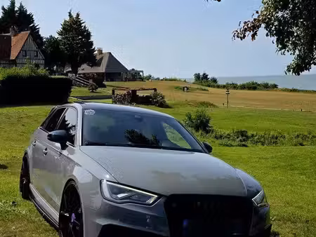 Audi A3 RS3 2.5 TFSI 367 quattro