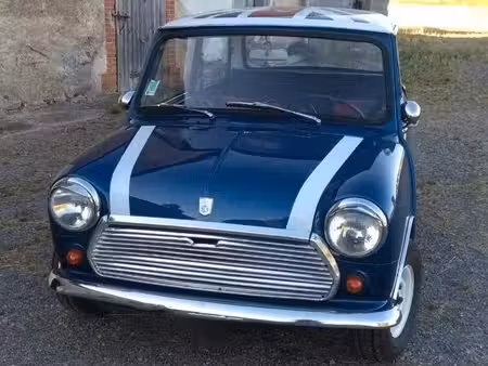 Mini Mini