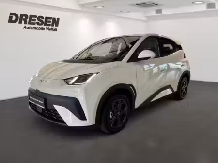 BYD Dolphin 88 Boost