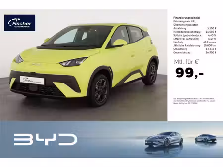 BYD Dolphin 88 Boost